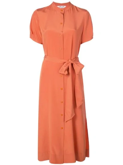 Diane Von Furstenberg Dvf  Addilyn衬衫裙 - 橘色 In Orange