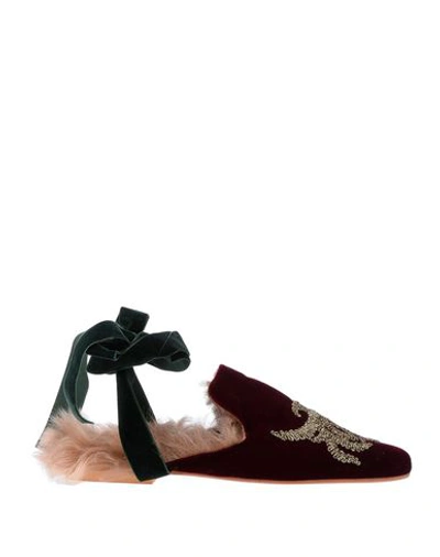 Gia Couture Mules In Maroon