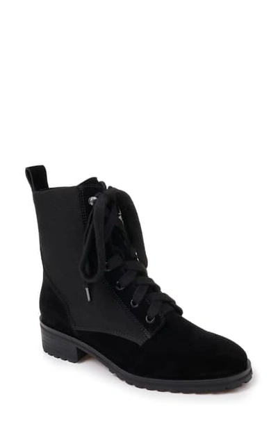 Splendid Hermilla Lace-up Boot In Black Suede