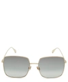 DIOR Stellaire 1 Sunglasses,5057865787664