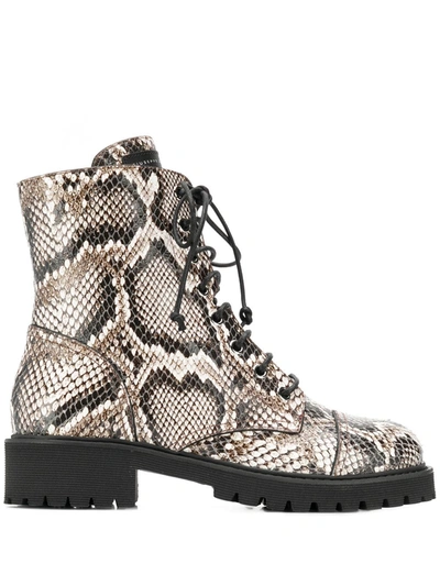 Giuseppe Zanotti Python-embossed Leather Combat Boots In Animal Print