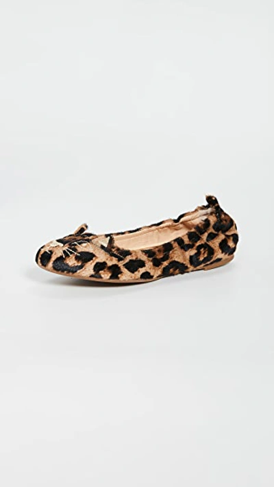 Charlotte Olympia Kitty Soft Ballet Flats In Leopard