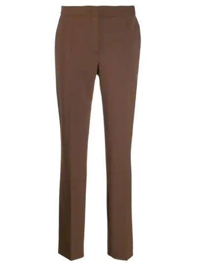 Alberta Ferretti High Waisted Trousers In Brown