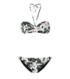 DOLCE & GABBANA FLORAL BIKINI,P00389268