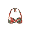 DOLCE & GABBANA FLORAL BIKINI TOP,P00389271