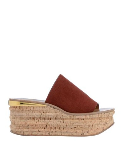 Chloé Sandals In Brick Red