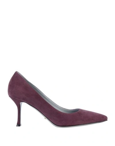 Sergio Rossi Pumps In Mauve