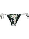 DOLCE & GABBANA LILY PRINT BIKINI BRIEFS