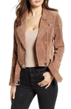 Blanknyc Annika Suede Moto Jacket In Coffee Bean