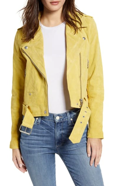 Blanknyc Suede Moto Jacket In Citron