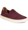 Ugg Sammy Sneaker In Lodge Leather