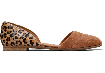 Toms Carmel Brown Suede Leopard Print Women's Jutti D'orsay Flats Shoes