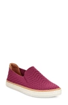 Ugg Sammy Slip-on Sneaker In Bougainvillea Fabric