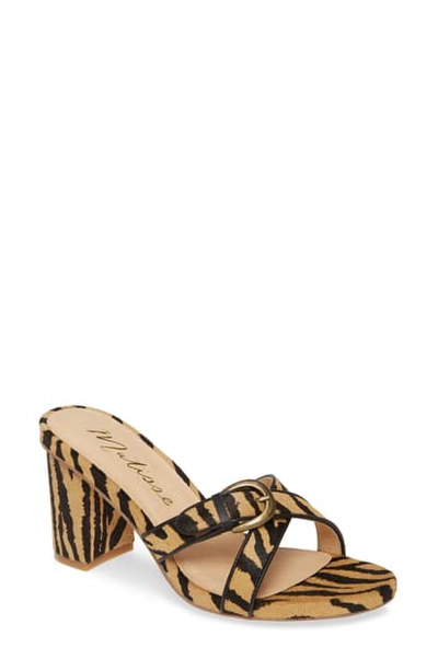 Matisse So Long Slide Sandal In Zebra Print Calf Hair