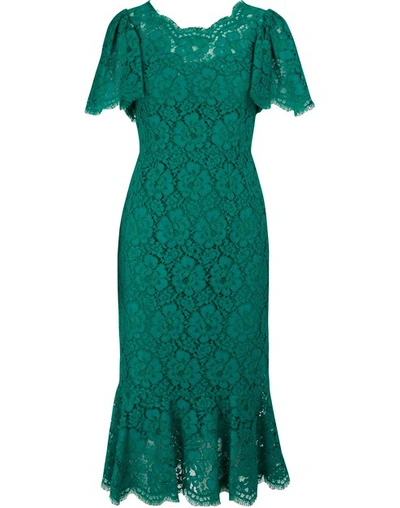 Dolce & Gabbana Ruffled Corded Lace Midi Dress In Green
