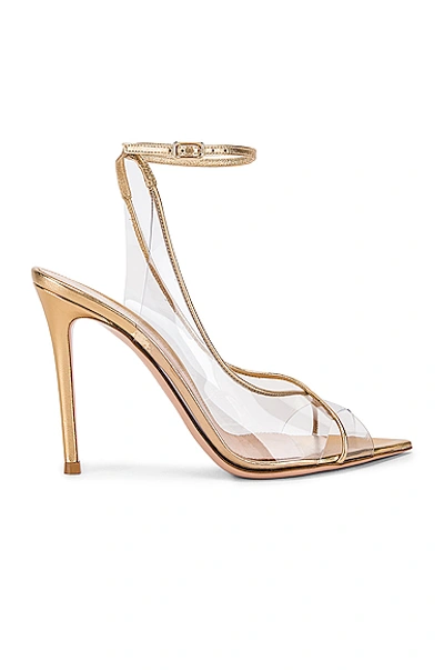 Gianvito Rossi Ankle Strap Heels In Gold & Transparent
