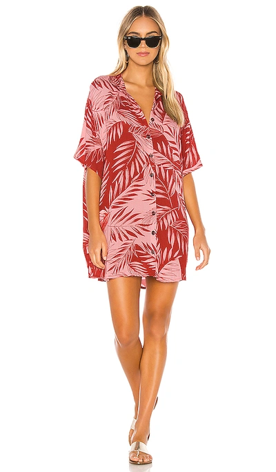 Amuse Society Shady Palms Dress In Rouge