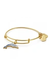 ALEX AND ANI Charity by Design: Dolphin Charm Expandable Wire Bracelet