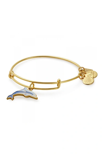Alex And Ani Charity By Design: Dolphin Charm Expandable Wire Bracelet In Shny Gld