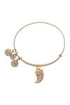 ALEX AND ANI Two-Tone Tiger's Claw Expandable Wire Bracelet