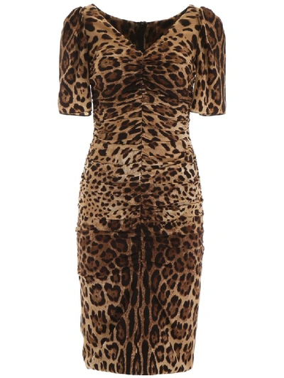 Dolce & Gabbana Leopard Print Silk Stretch Pencil Dress In Brown