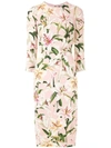 DOLCE & GABBANA LILY-PRINT FITTED DRESS