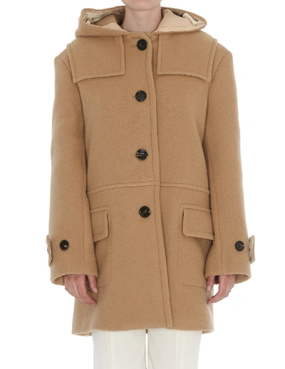 Chloé Wool And Mohair Hooded Coat In Neutrals