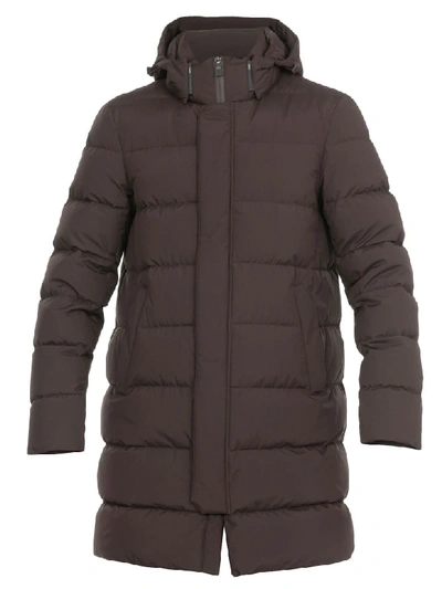 Herno Quilted Down Jacket In Chocolate