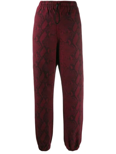 Alexander Wang T Snake Print Trousers In Red