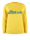 Alberta Ferretti Alitalia Knit Sweater In Yellow