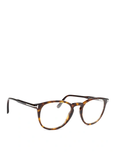 Tom Ford Light Tortoise Round Eyeglasses In Brown