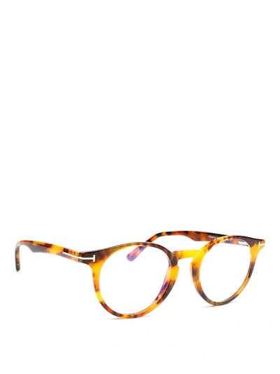 Tom Ford Tortoise Round Glasses In Light Brown