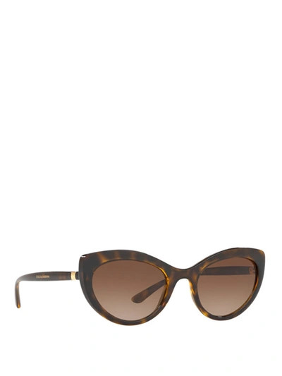 Dolce & Gabbana Monochromatic Cat-eye Sunglasses In Brown