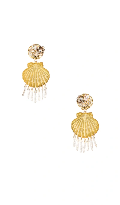 Mercedes Salazar Small Shell Pearl Earrings In Gold