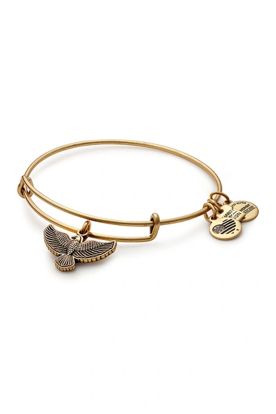 Alex And Ani Spirit Of The Eagle Charm Expandable Wire Bracelet In Gold Finish