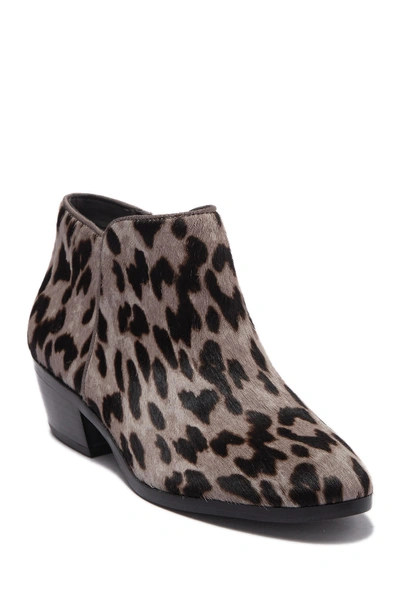 Sam Edelman Petty Leopard Printed Genuine Calf Hair Bootie In Grey