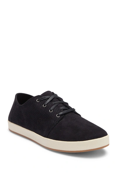 Toms Payton Perforated Sneaker In Black