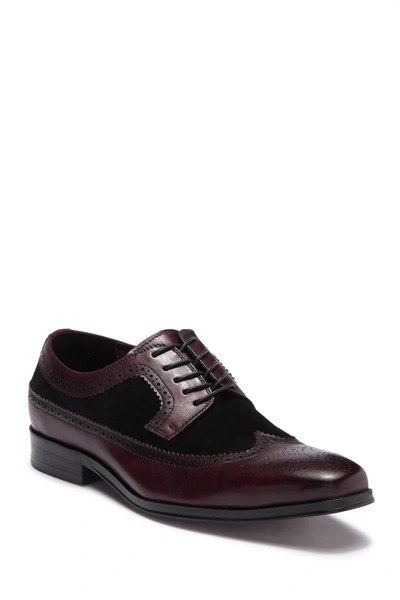 Tallia Sergio Contrast Leather Wingtip Oxford In Black/bordo