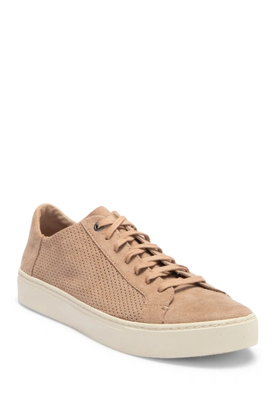 Toms Lenox Perforated Faux Suede Sneaker In Medium Brown