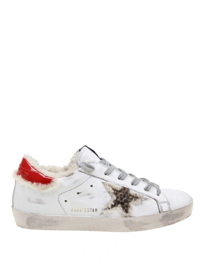 Golden Goose Superstar Shearling Leopard Low-top Sneakers In White