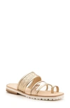 Botkier Maje Strappy Toe Loop Sandal In Pale Gold Leather
