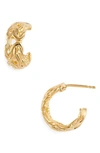 ARGENTO VIVO AURELIA HOOP EARRINGS,116329G