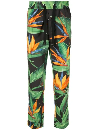 Dolce & Gabbana Cotton Jogging Trousers With Bird Of Paradise Print In Multicolored