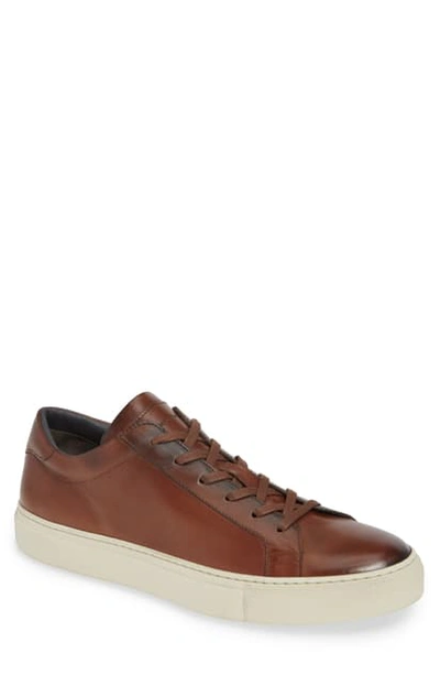 To Boot New York Knox Low Top Sneaker In Brown Leather