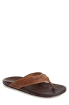 Olukai Po'okela Leather Thong Sandals In Tan/ Dark Java