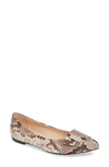 Agl Attilio Giusti Leombruni Pointy Toe Flat In Natural Snake Embossed Leather