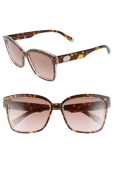 Tiffany & Co 56mm Gradient Square Sunglasses In Havana/ Pink Gradient