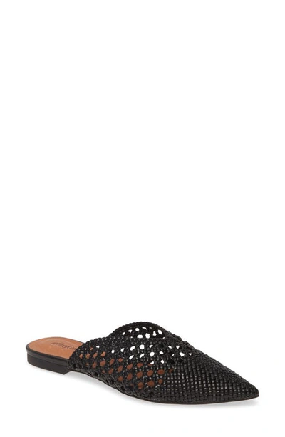 Jeffrey Campbell Leno Woven Pointed Toe Mule In Black