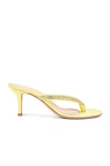 GIANVITO ROSSI GIANVITO ROSSI DIVA FLIP FLOP SANDALS IN LEMONADE,GIAN-WZ429