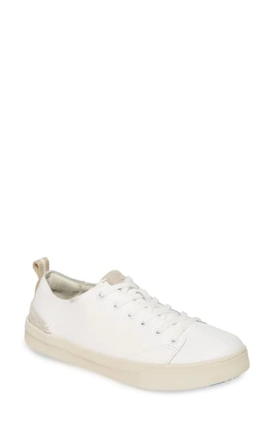 Toms Travel Lite Low Top Sneaker In White Leather
